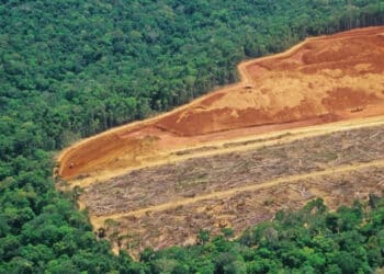 Brasil riesgo medio deforestación