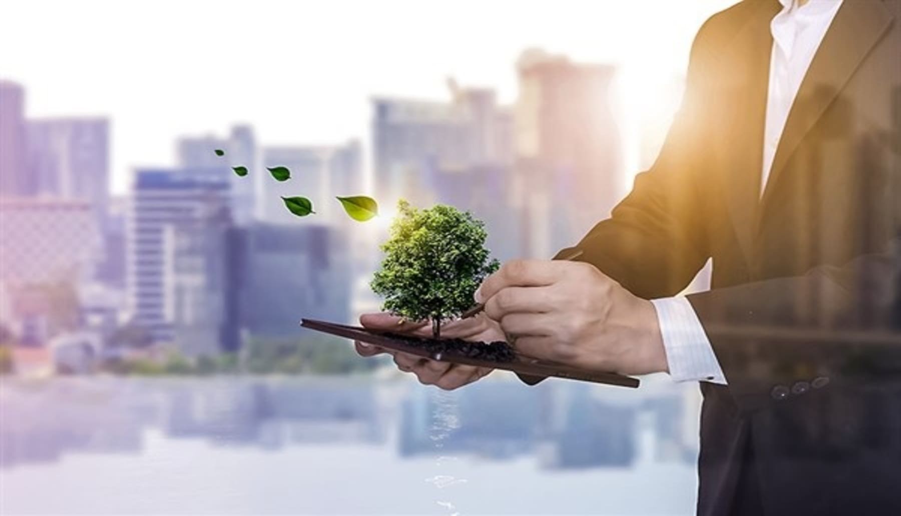 COP30 la prosperidad económica no tiene por qué estar reñida con la lucha contra el cambio climático