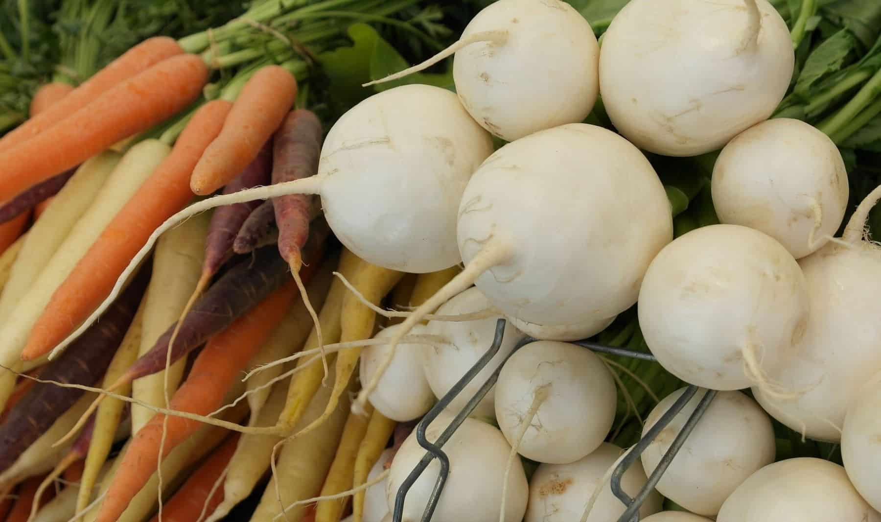 producción ecológica navarra