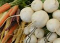 producción ecológica navarra