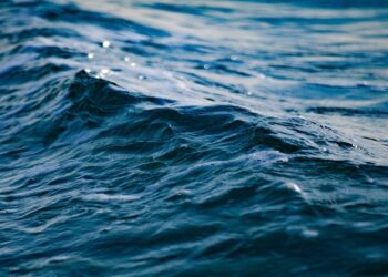Chipre, Finlandia, Hungría, Eslovenia, Letonia y Portugal ratifican el ‘Tratado sobre la Alta Mar’ de las Naciones Unidas