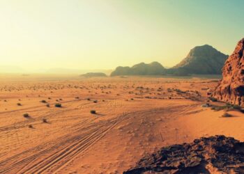 Día Internacional Lucha Desertificación Sequía 2025