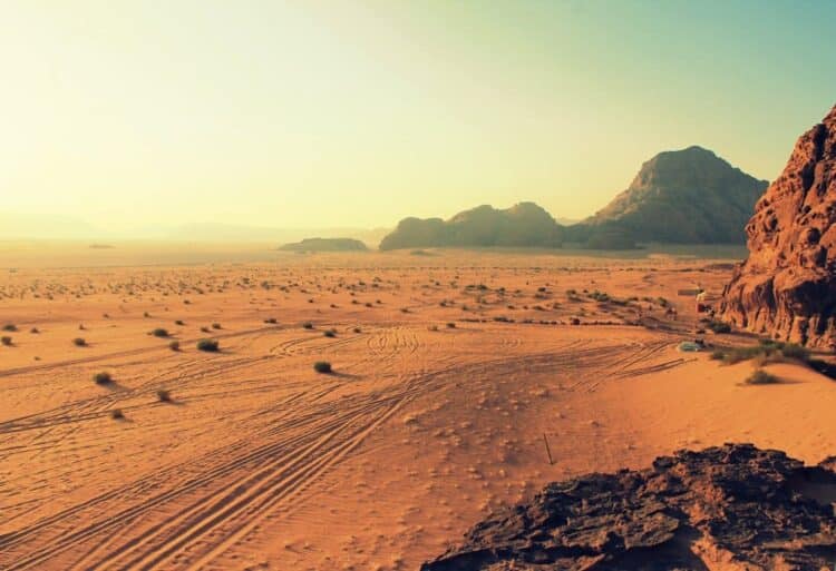 Día Internacional Lucha Desertificación Sequía 2025
