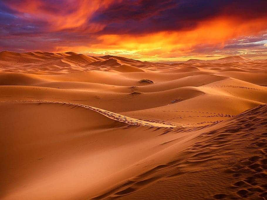 Día Mundial Desertificación Sequía 2025 Colombia