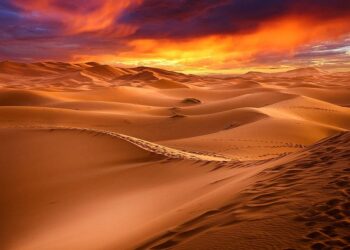 Día Mundial Desertificación Sequía 2025 Colombia