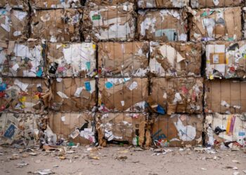 Día Mundial Reciclaje 2025