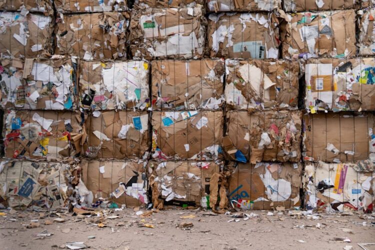 Día Mundial Reciclaje 2025