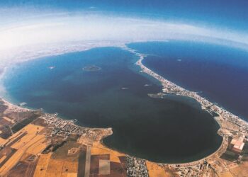 Mar Menor tutores abogado