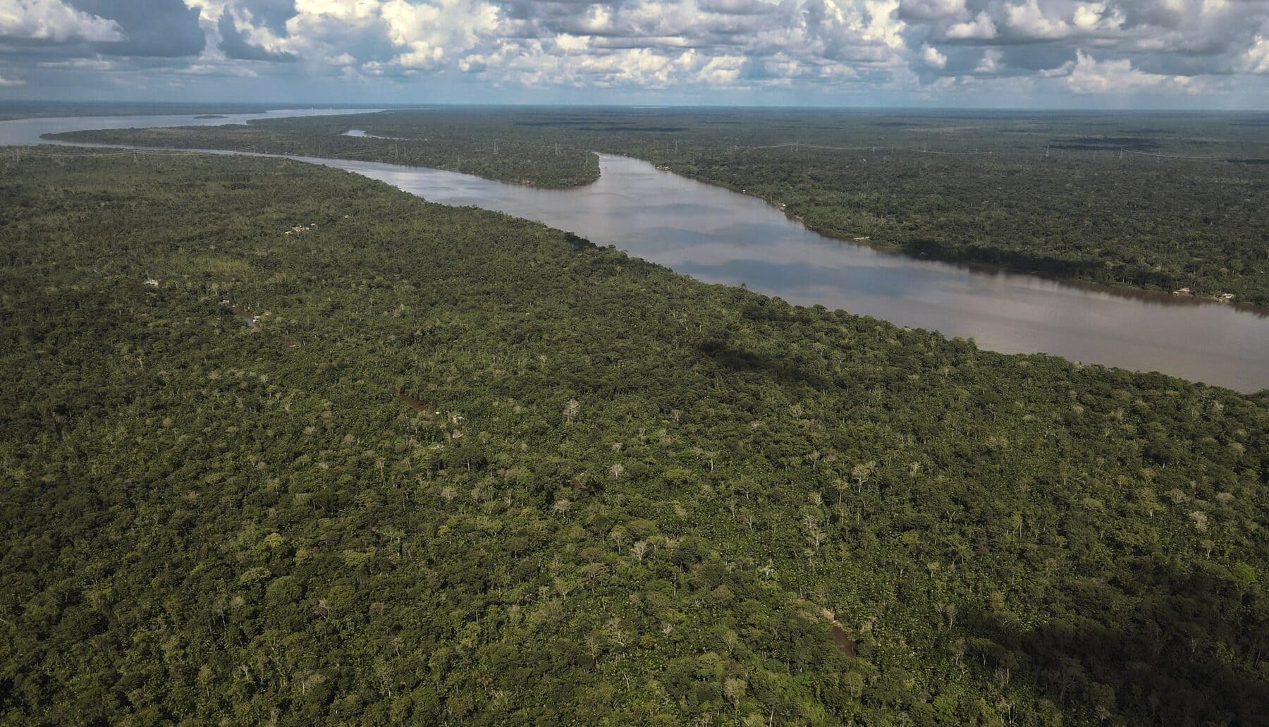 El bioma más amenazado de Brasil deforestación