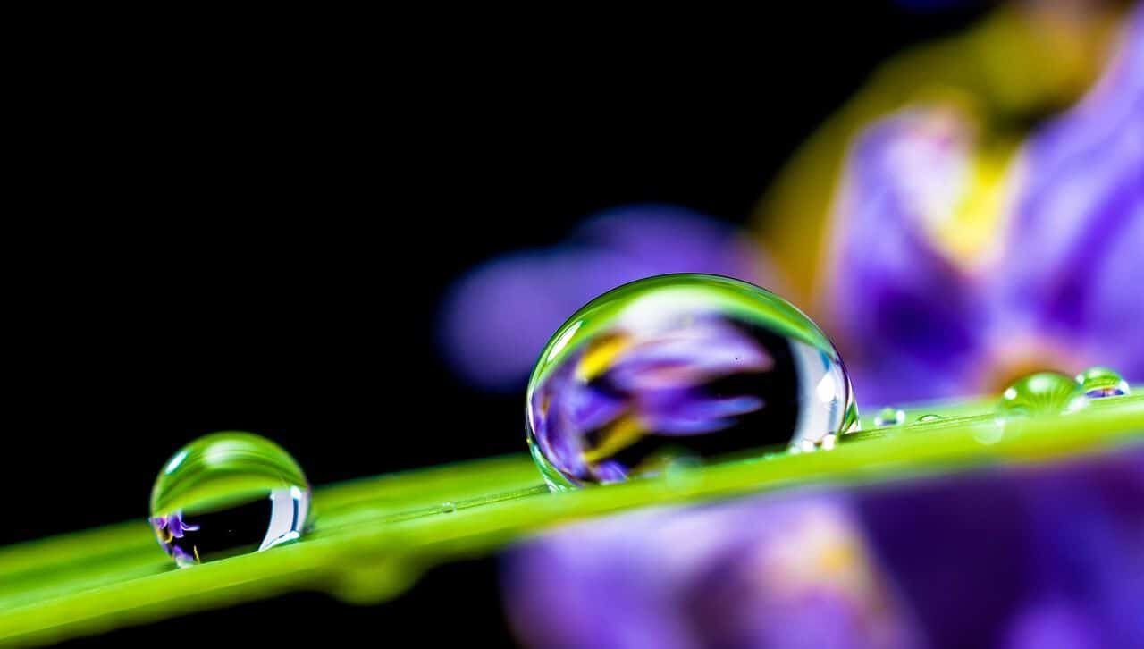 ONU Pedro Arrojo agua bien común