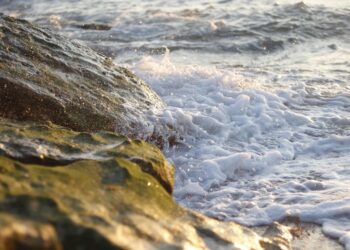 litoral Andalucía cambio climático