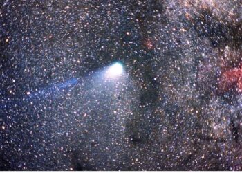 primavera estrellas fugaces Cometa Halley