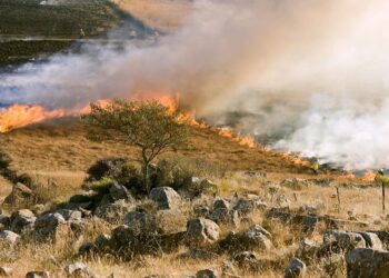 incendios forestales
