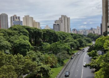 Fundación Biodiversidad ciudades