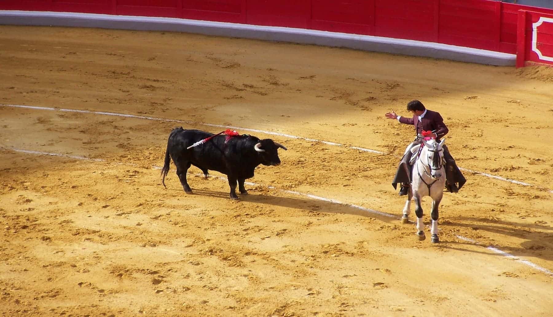 Ganaderos mexicanos en contra del nuevo formato de corridas de toros sin sangre