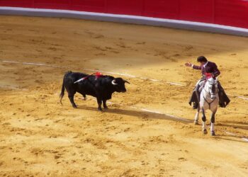 Ganaderos mexicanos en contra del nuevo formato de corridas de toros sin sangre