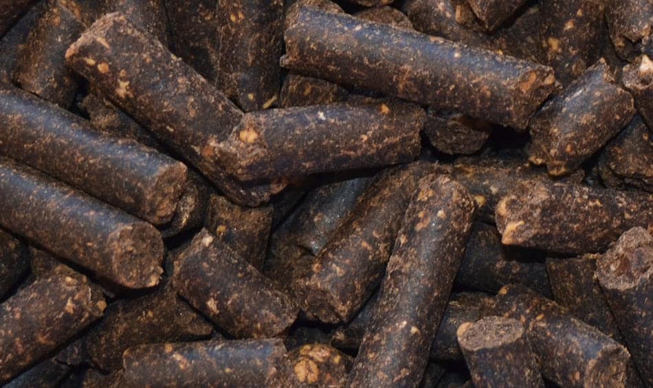 energía limpia biomasa orujillo