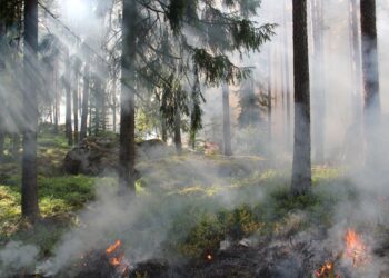 Guatemela incendios forestales