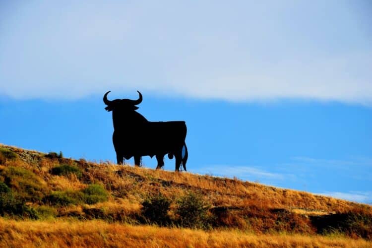 espana dia sobrecapacidad consumido recursos naturales 2025
