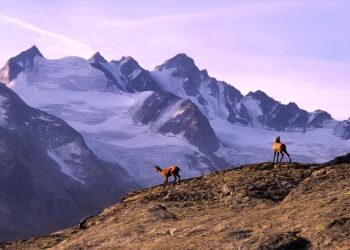 el daño a los glaciares de montaña no se recuperará en siglos