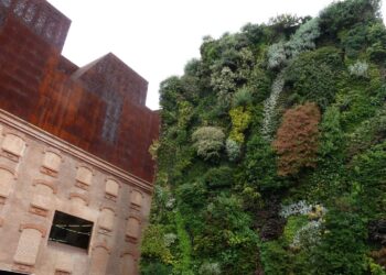 muros verdes contaminación acústica
