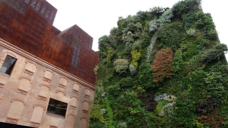 muros verdes contaminación acústica