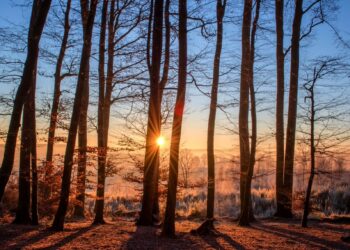 Estrategia Acción Cambio Climático Cantabria