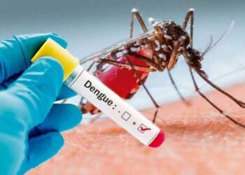 La OMS toma medidas ante el riesgo de que enfermedades infecciosas se propaguen por el cambio climático