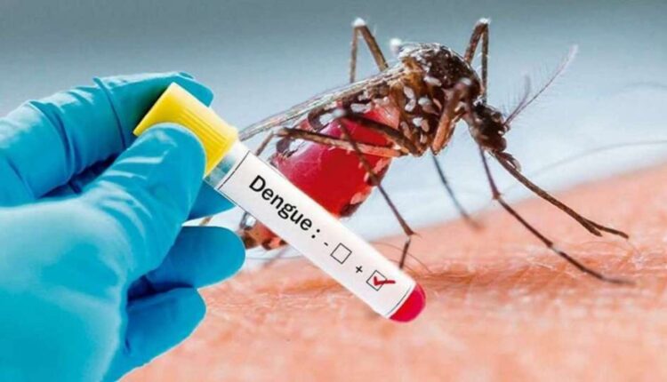 La OMS toma medidas ante el riesgo de que enfermedades infecciosas se propaguen por el cambio climático
