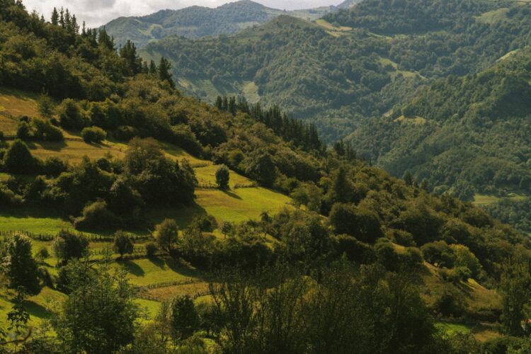Reserva Ecoturista España Verde Asturias