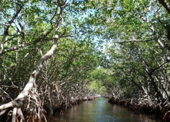 La fórmula ante la crisis climática en Latinoamérica