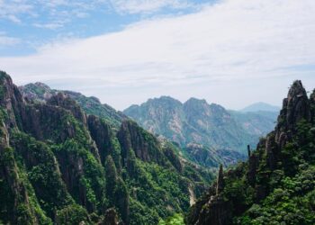 La reciprocidad entre humanos y naturaleza impacta en la sostenibilidad