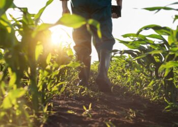 La transformación de la agricultura en América pasa por emplear la bioeconomía