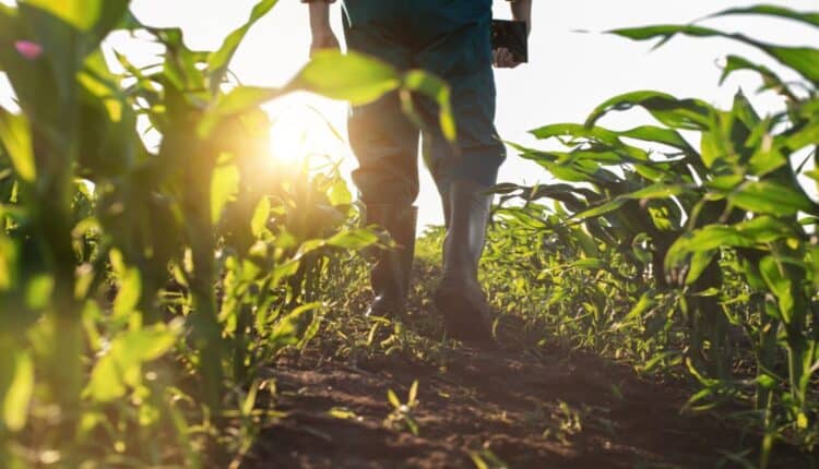 La transformación de la agricultura en América pasa por emplear la bioeconomía