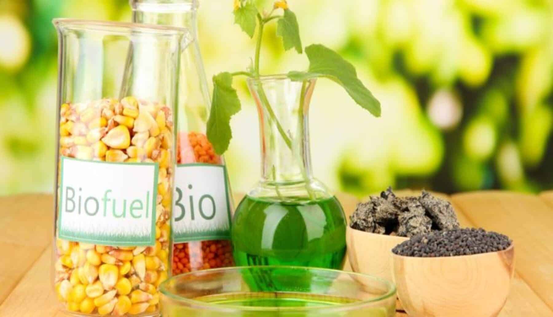 Las dudas ‘razonables’ que generan los biocombustibles