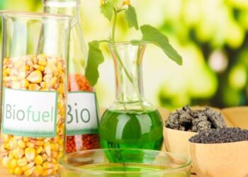Las dudas ‘razonables’ que generan los biocombustibles