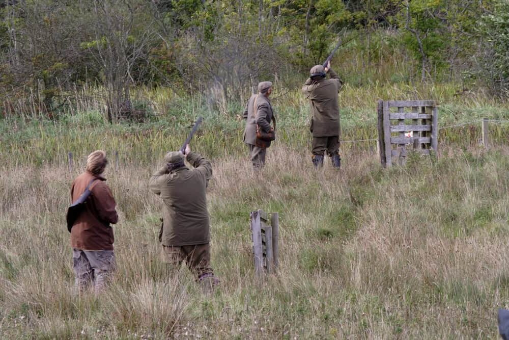 Las vedas de caza 2025/2026 en Valencia son un peligro para la sociedad y la biodiversidad