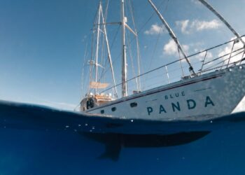 Life Ecorest Blue Panda