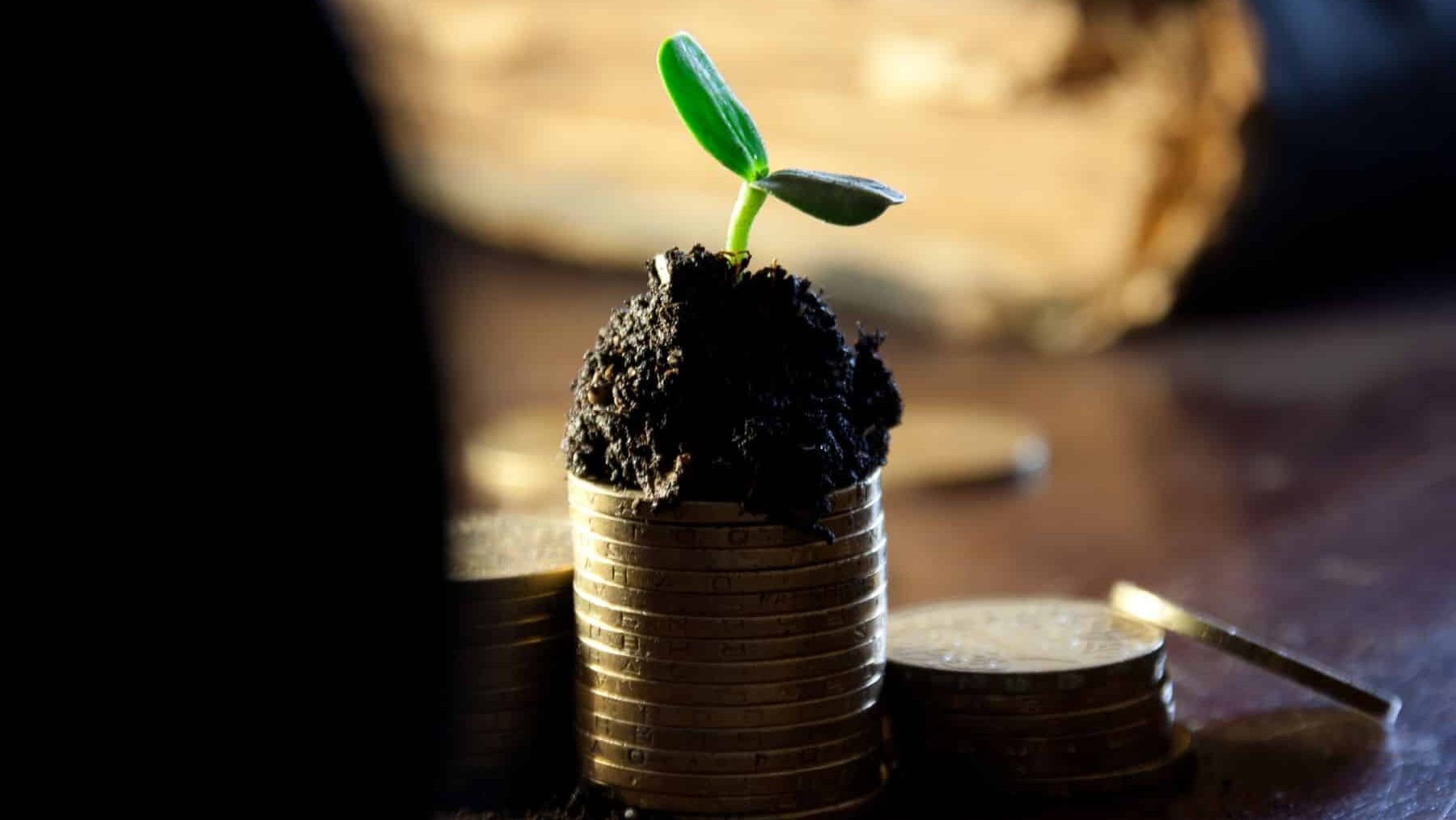 bancos america latina verdes