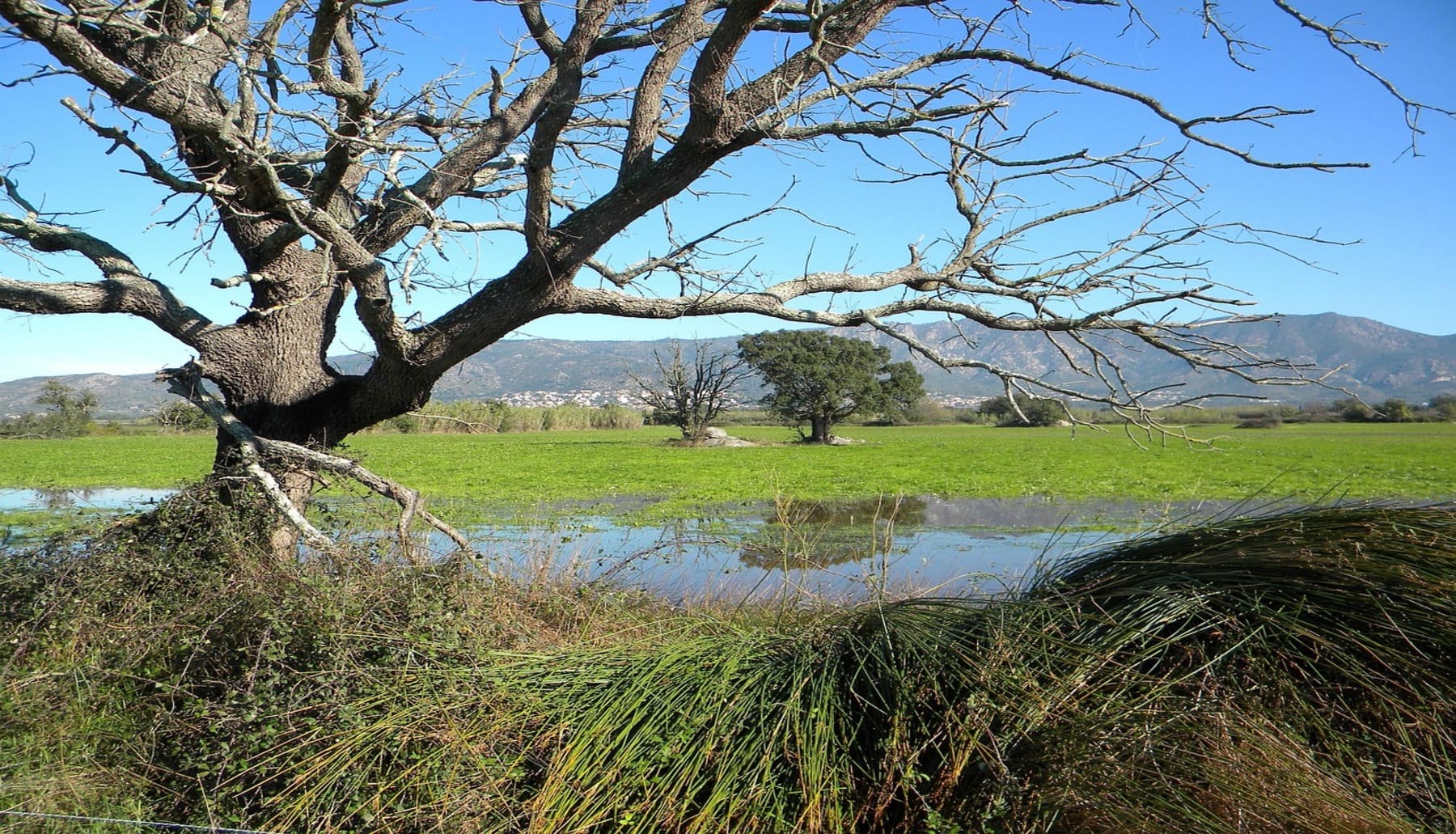 Luchando por el Empordá