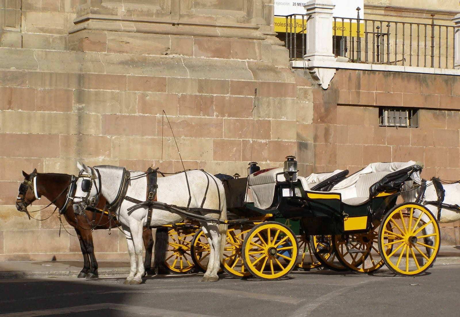 Málaga coches caballos