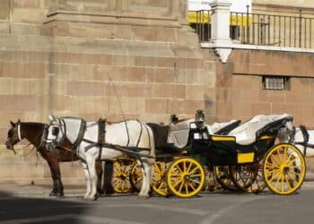 Málaga coches caballos