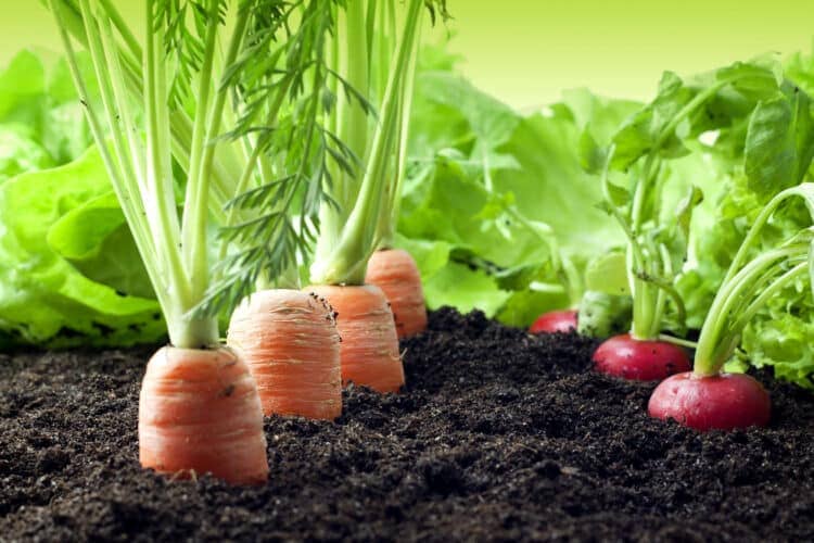 Manifiesto Granollers agroecología cambio climático