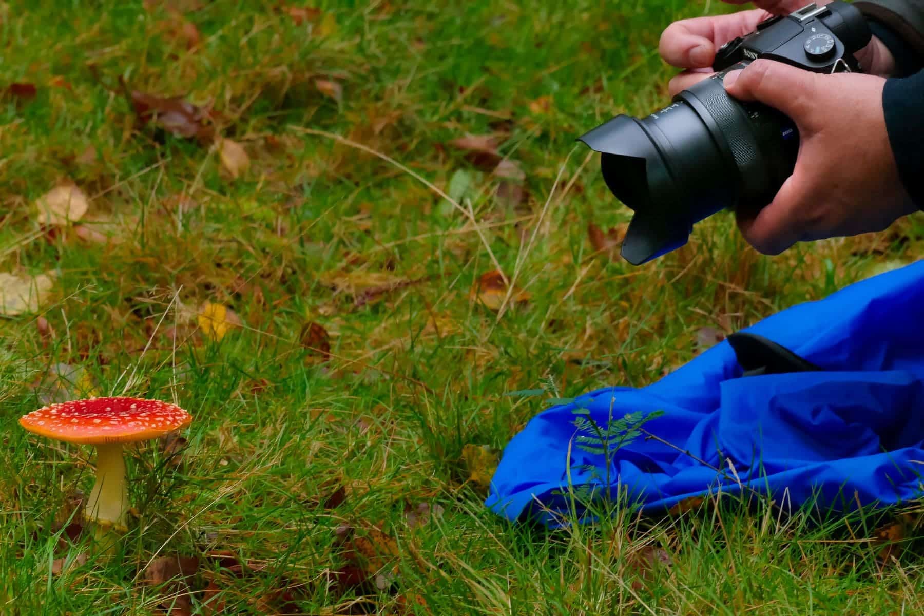 Micoturismo conocer entorno rural