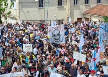 Nueva marcha de organizaciones ecologistas el próximo 1 de junio contra las celulosas de Ence y Altri