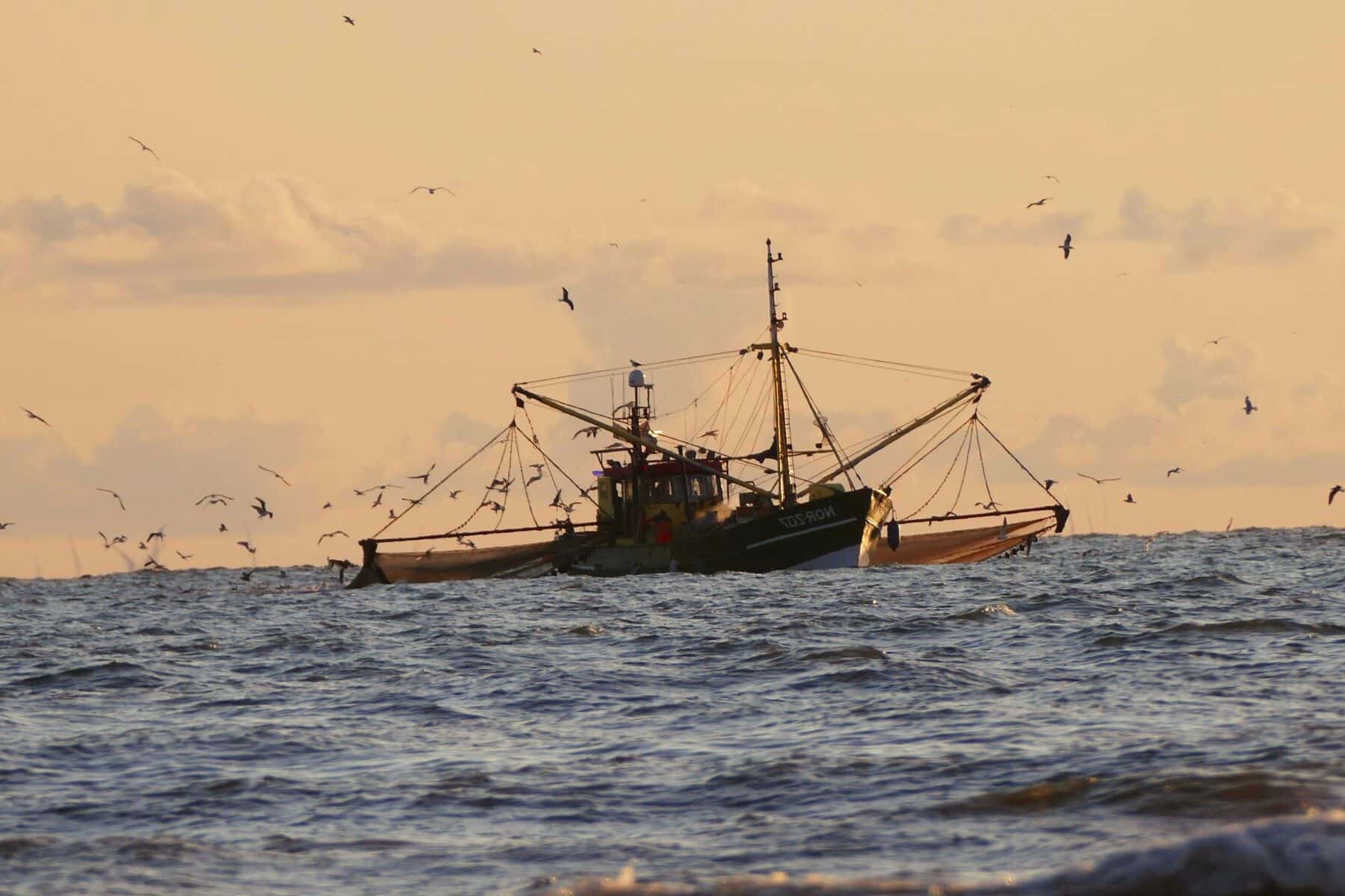 Pacto Océanos actividades destructivas