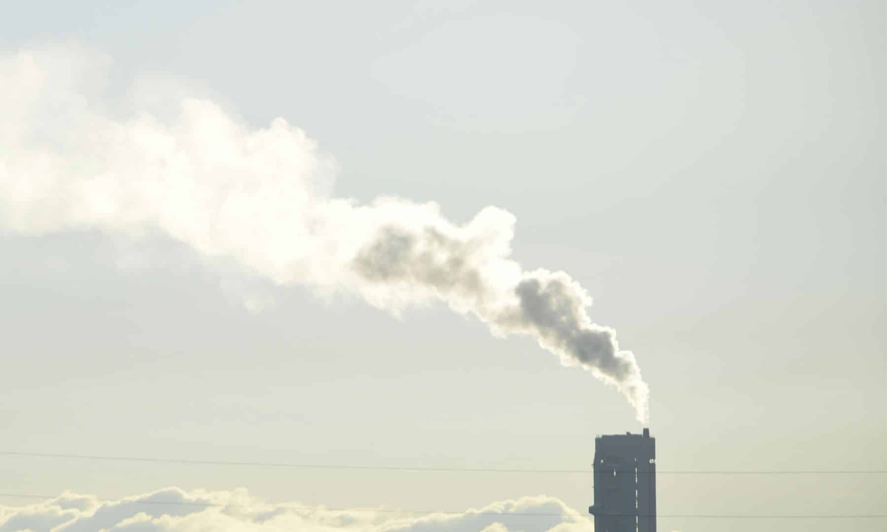 PERTE descarbonización ayudas