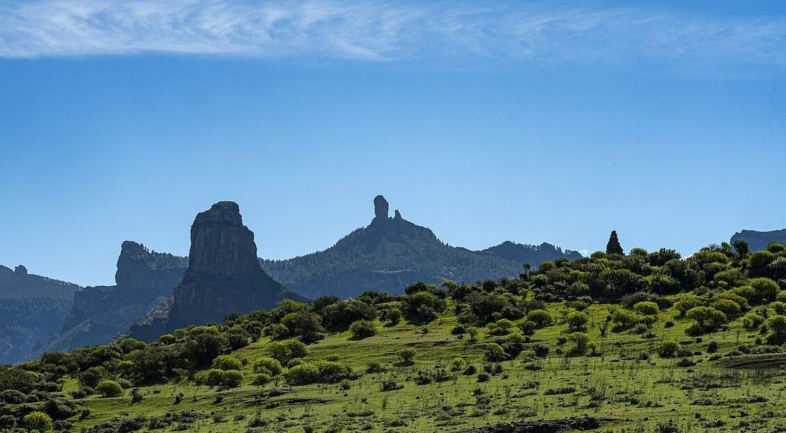Biosfera Gran Canaria conservación