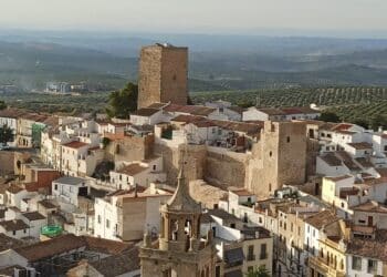 Residuo oleícola hidrógeno martos