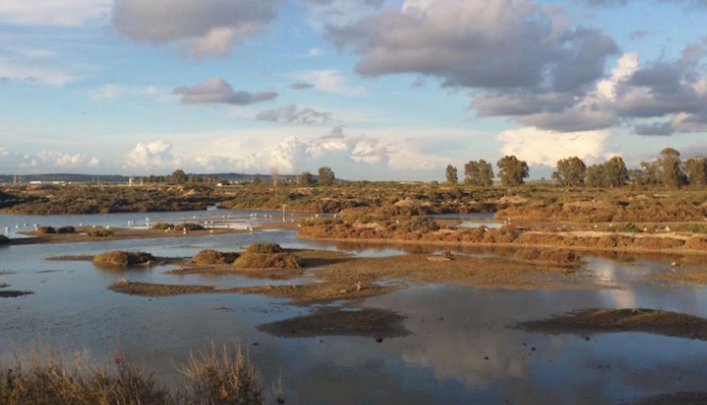 Salinas Cádiz sumideros CO2
